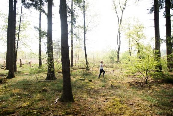 omzeilen Gecomprimeerd Sympton Weekendje weg Veluwe | Verblijf in een bungalow midden in het bos
